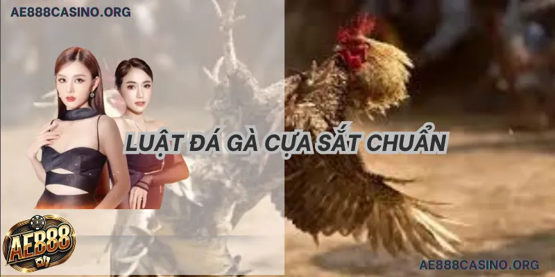 Luật chơi đá gà cựa sắt chuyên sâu 2026